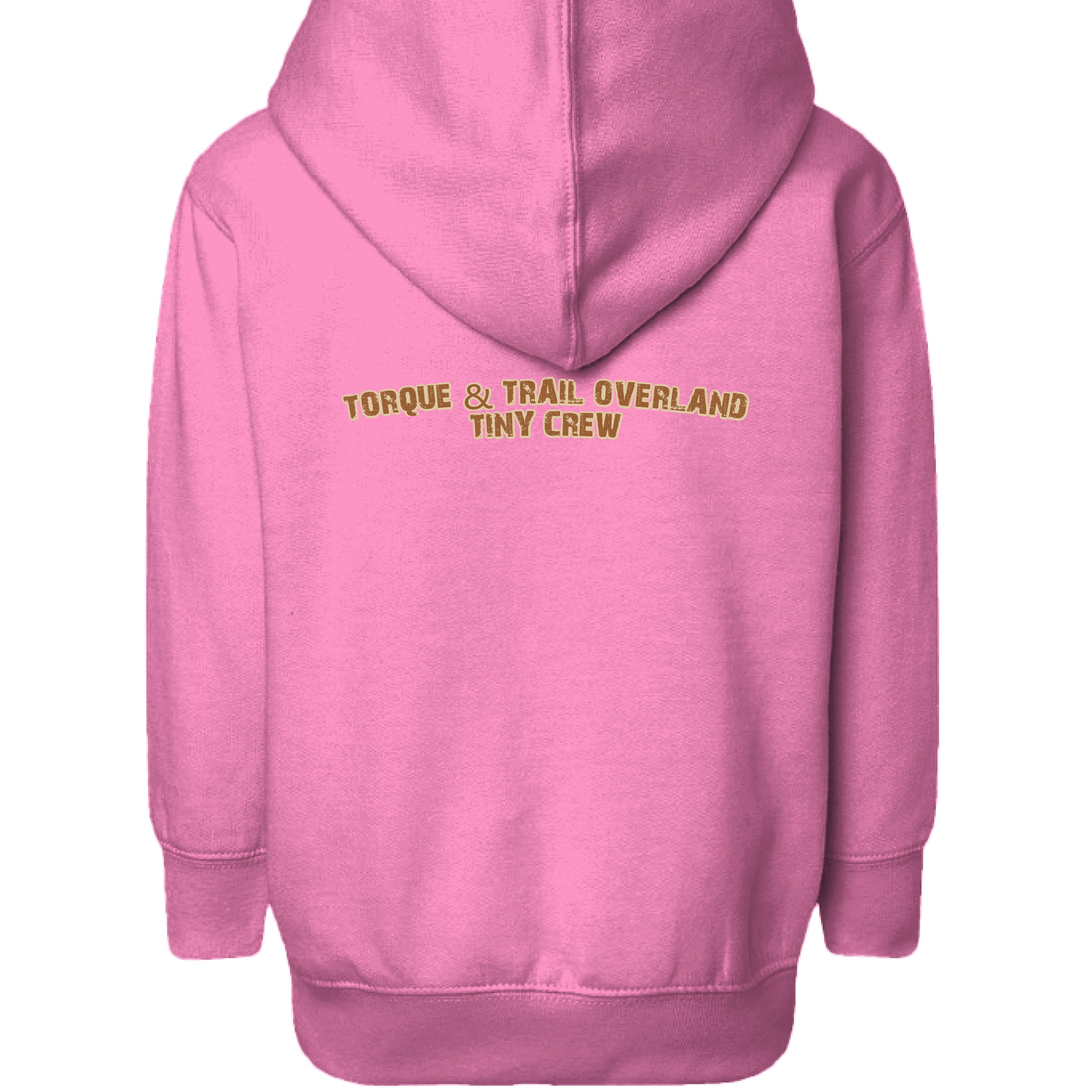 RASPBERRY - BACK